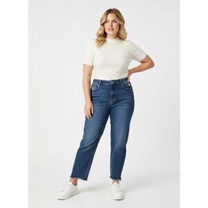 American Eagle Outfitters High Waisted Strigid Mom Jeans 18